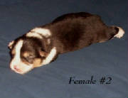 webassets/0006769heatherfe21.jpg
