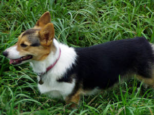 webassets/9010032.JPG