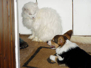 webassets/P1010059.JPG